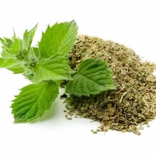 خرید و قیمت عمده نعنا خشک + فروش فوق‌ العاده